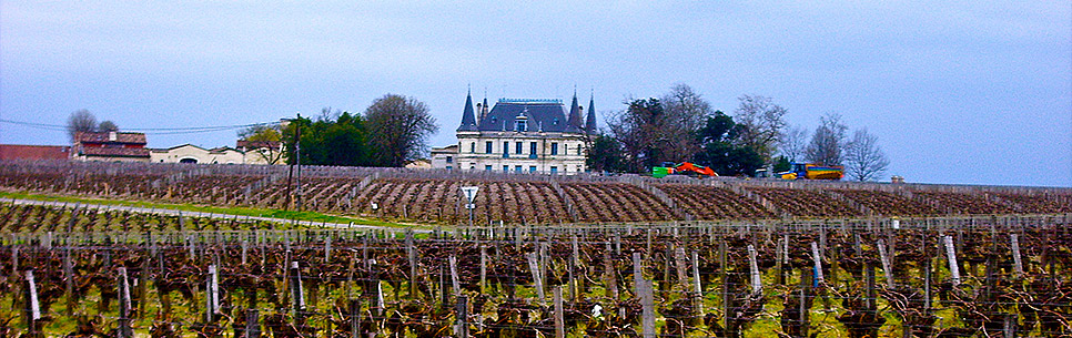 Chateau et Vignes